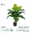 GloboStar® Artificial Garden ROHDEA JAPONICA 20067 Τεχνητό Διακοσμητικό Φυτό Ιαπωνέζικη Ροδέα Υ80cm